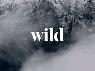 Wild Creative Studio Limited